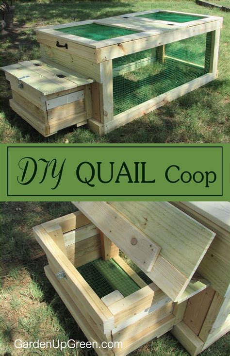 Quail Coop Ideas: Learn How to Build Coops For Quail